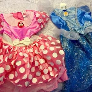 2 princess dresses